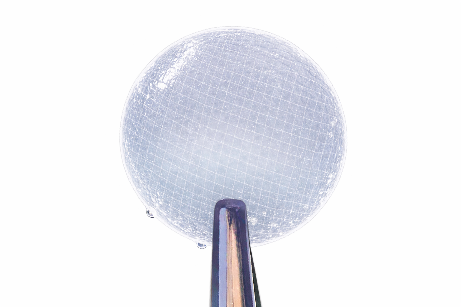 EyeGen Human Amniotic Membrane Allografts